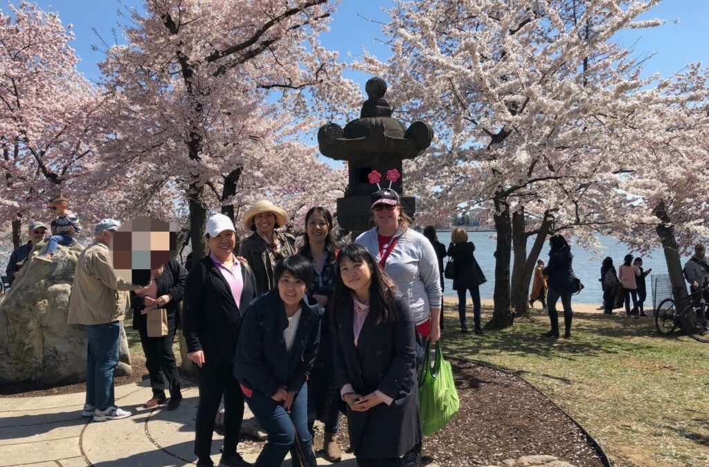 開催報告：Sakura Walking Tour