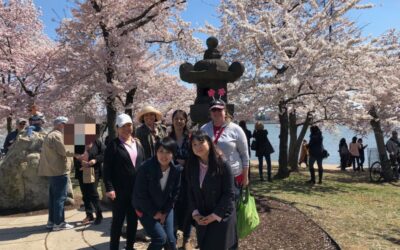 開催報告：Sakura Walking Tour