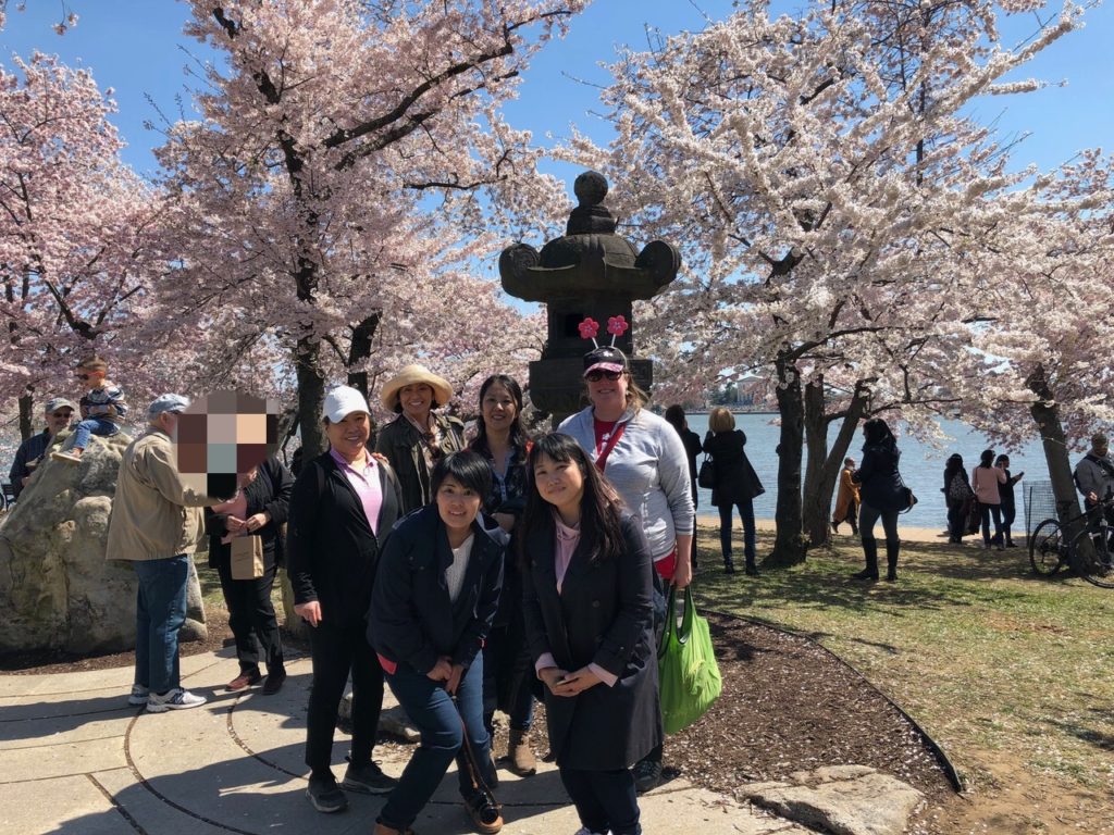 Sakura Walking Tour