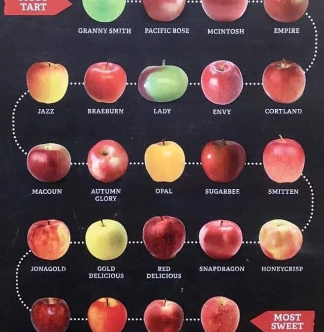 9月26日（木）Cooking with Jennifer!-Apple Cooking